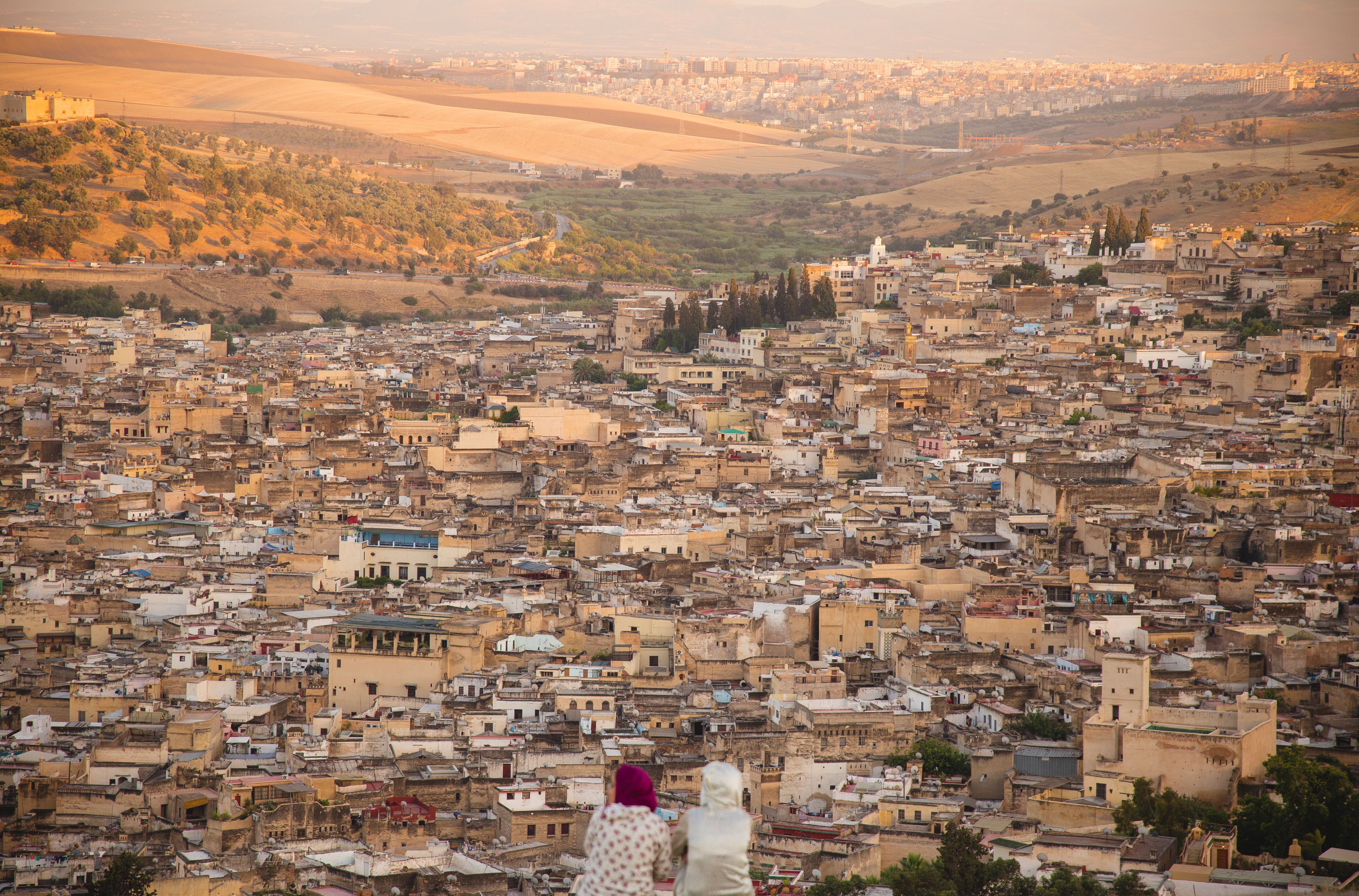 The Fes medina from above